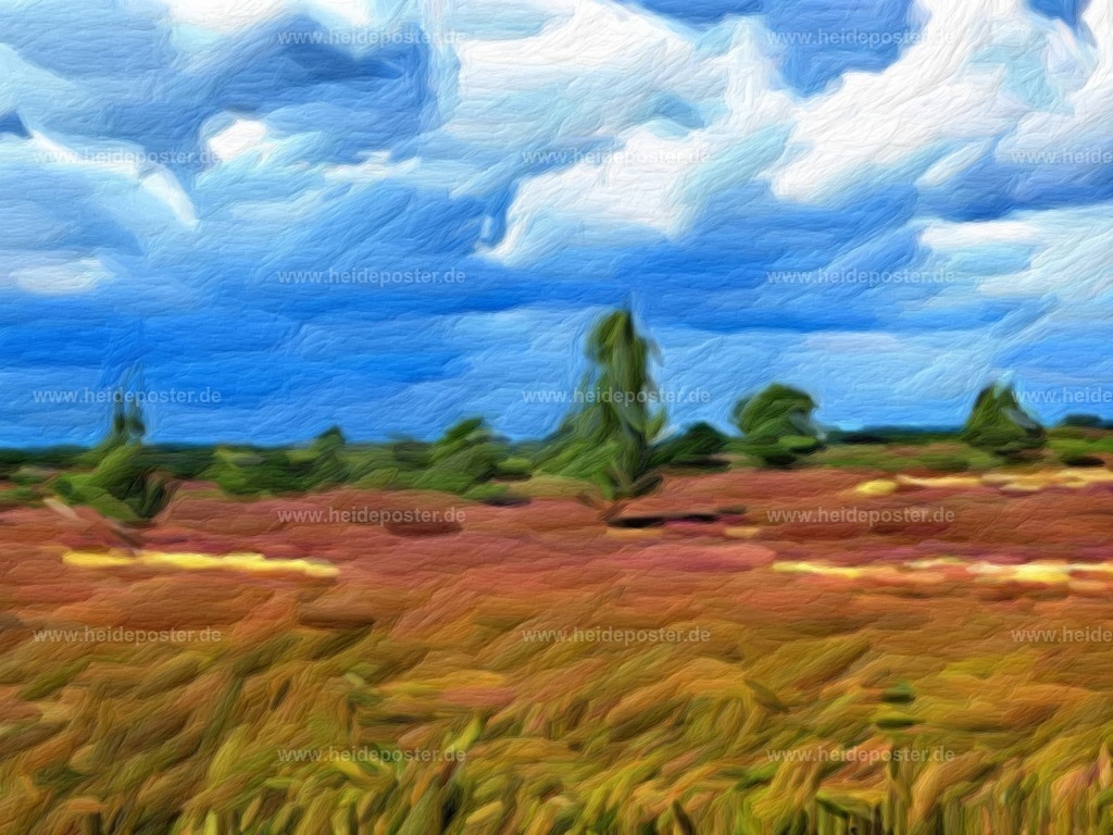 brushed_IMG_8244 | Poster aus der Lüneburger Heide - Realisiert mit Pictrs.com