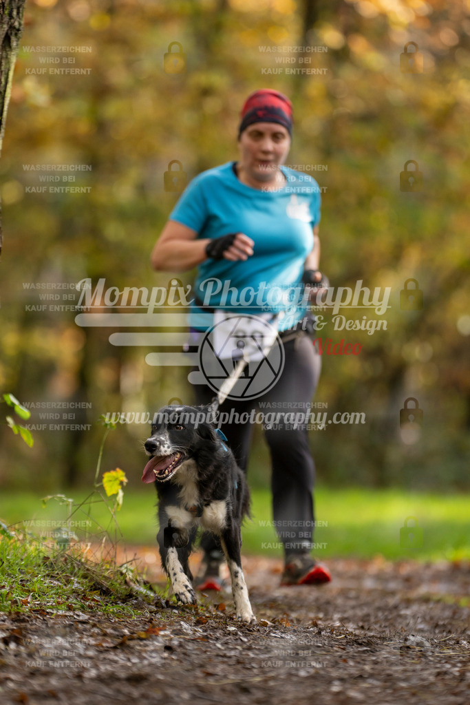 MompixPhotography_Bischwiller23_Canicross-69 | PayLife