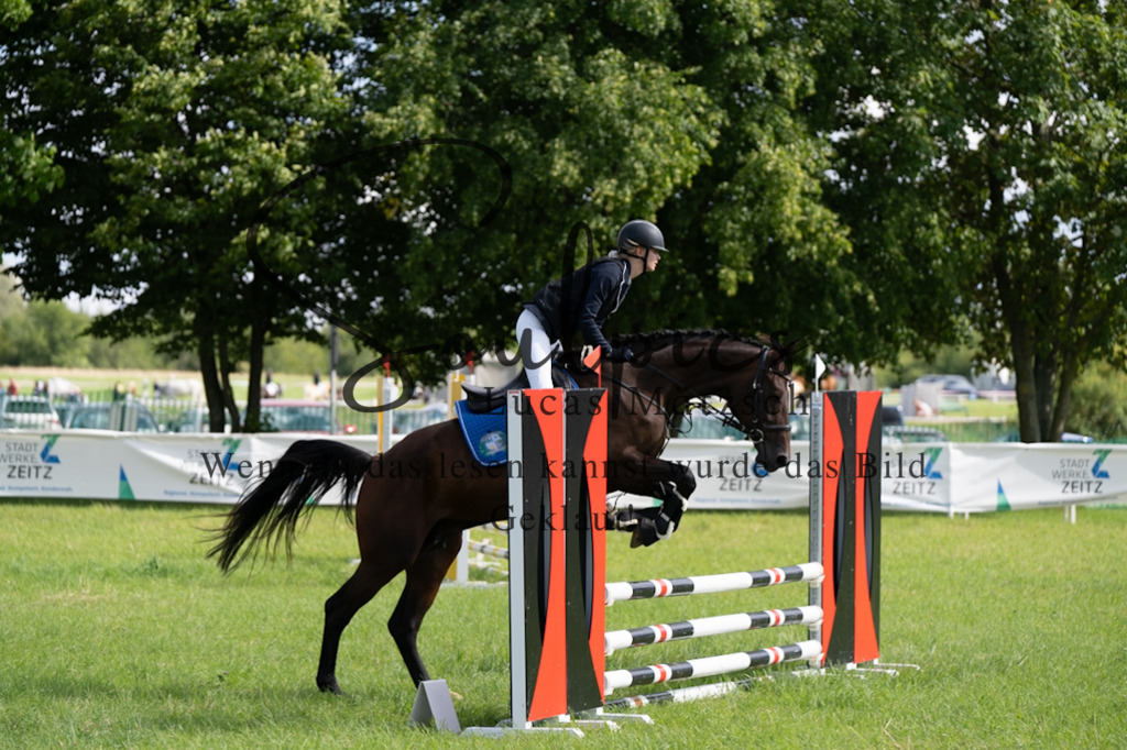 A7V03421 | Pferdefotograf