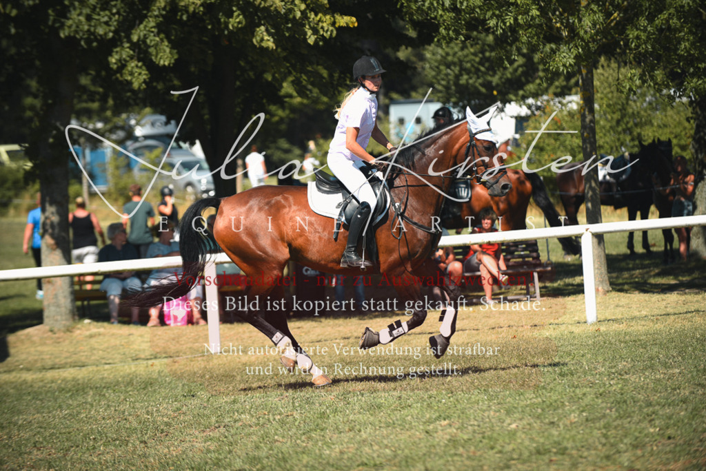 DSC_7175 | Pferde- und Turnierfotografie in Westsachsen. Pferdeportraits, Auftragszeichnungen und intuitive Kunst.