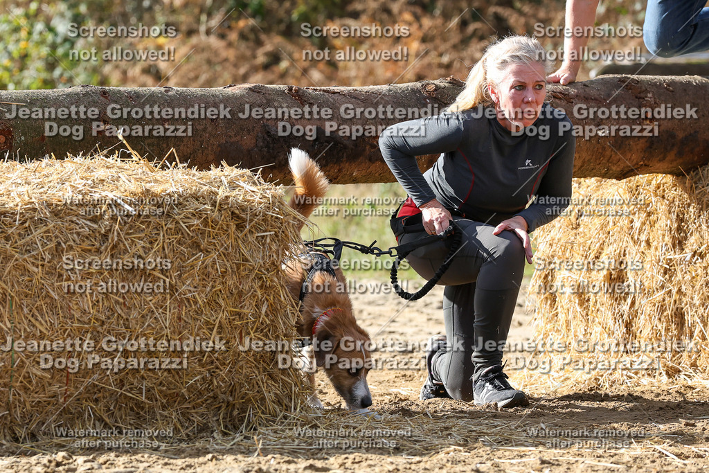 Dog Paparazzi - Strongdog 10-25-5632 | Dog Paparazzi Jeanette Grottendiek Fotografie & Videografie - Realisiert mit Pictrs.com