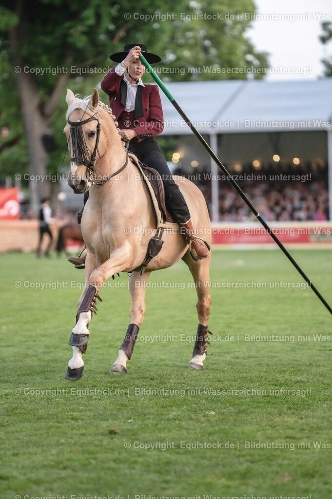 20230526_Pferdenacht_0717 | equistock