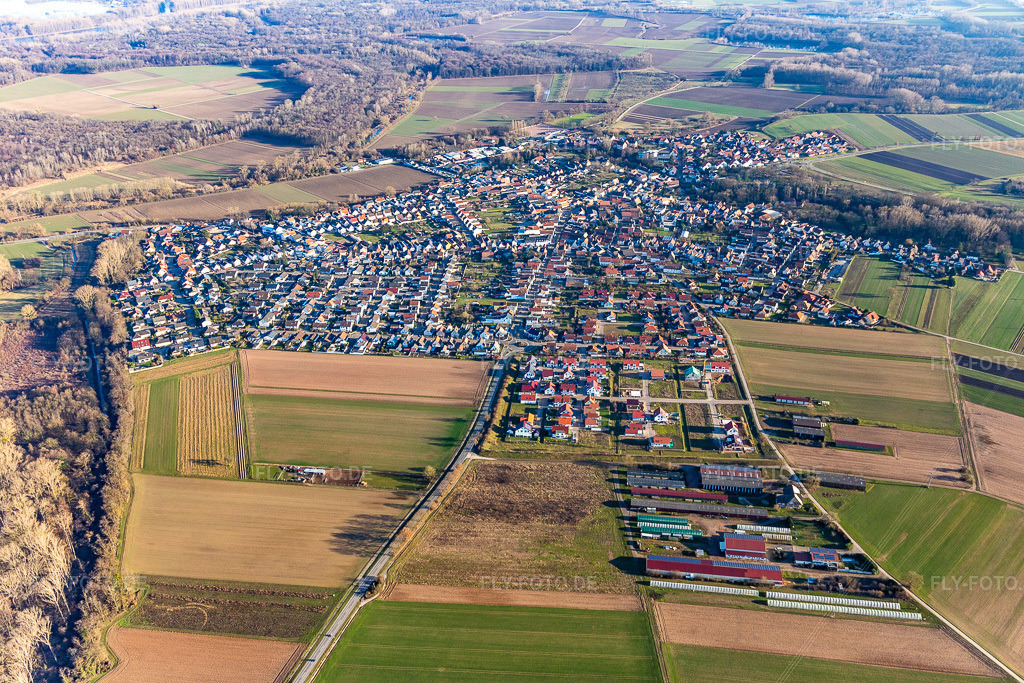 Luftbild: Ortsansicht am Rande von landwirtschaftlichen Feldern und Nutzflächen in Hördt im Bundesland Rheinland-Pfalz in Deutschland. Foto: IMG_125626.jpg vom 21.02.2021 durch Werner Riehm/FLY-FOTO.de