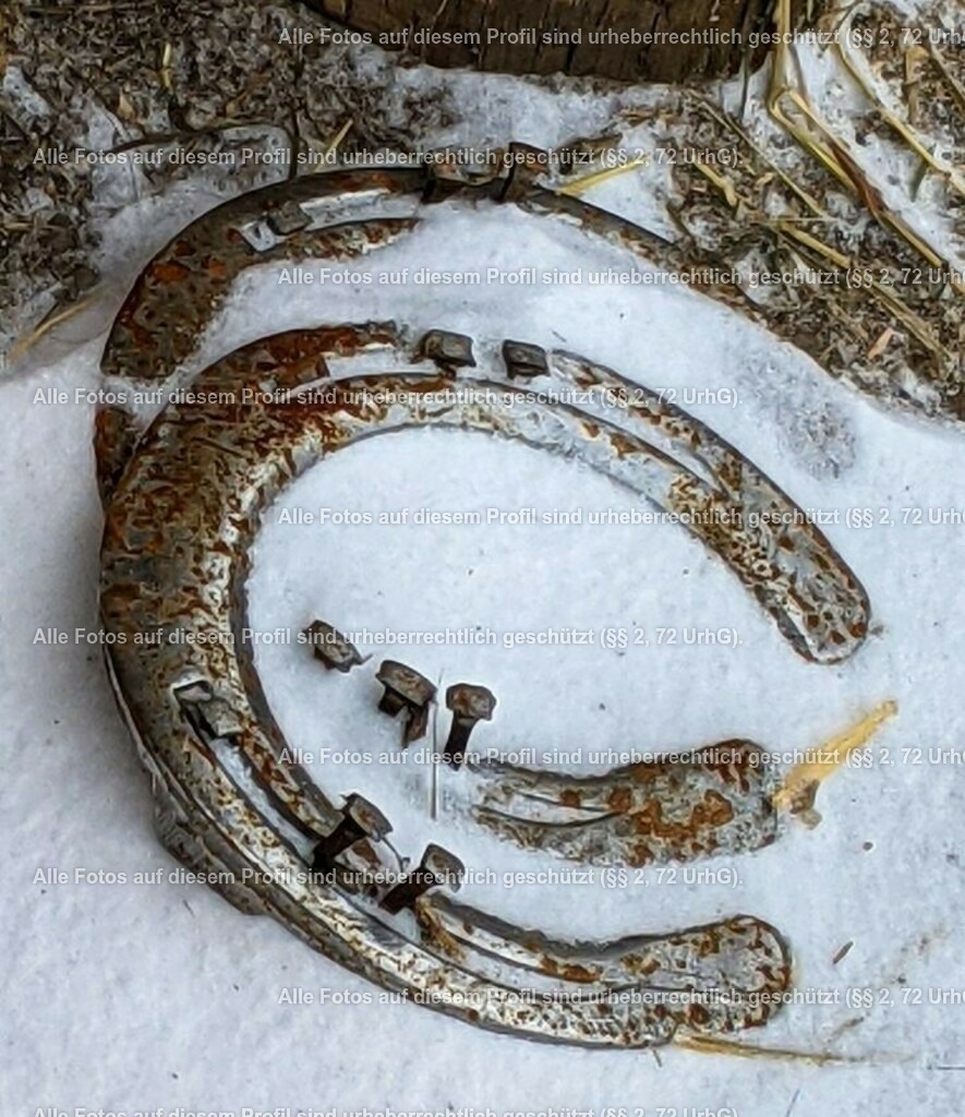 4e7c74b36a6046d40aff732bd635c56f | krollfotografie - Realisiert mit Pictrs.com