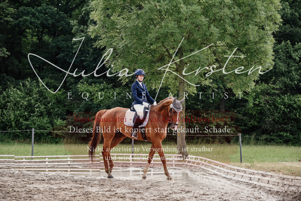 DSC_9918 | Pferde- und Turnierfotografie in Westsachsen. Pferdeportraits, Auftragszeichnungen und intuitive Kunst.