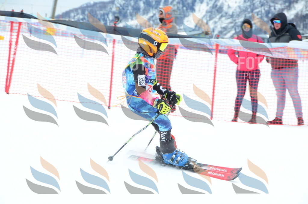 DSC_1674 | holidayphoto