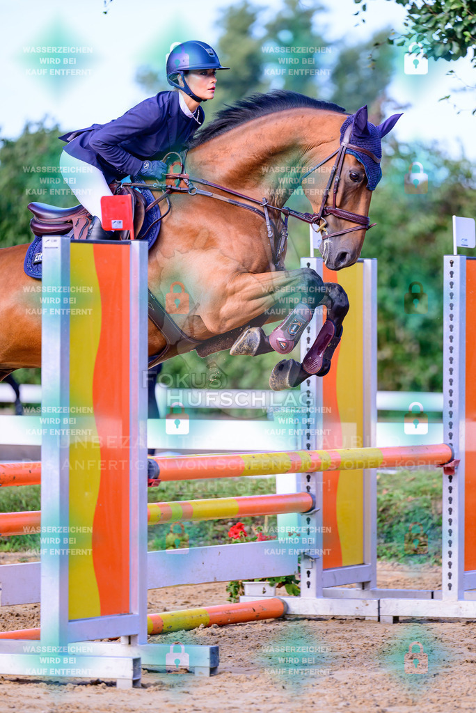 30082026-Giesenbach-Prfg16-0057 | Fokus Hufschlag Fotografie - Realisiert mit Pictrs.com