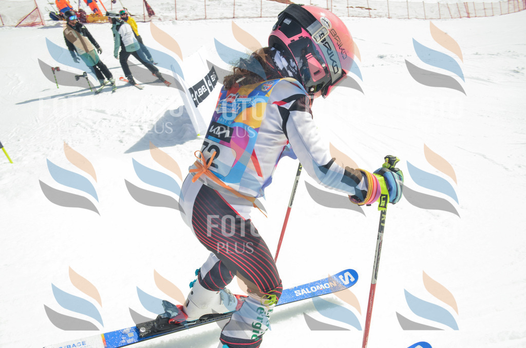 _ELE5449 | holidayphoto