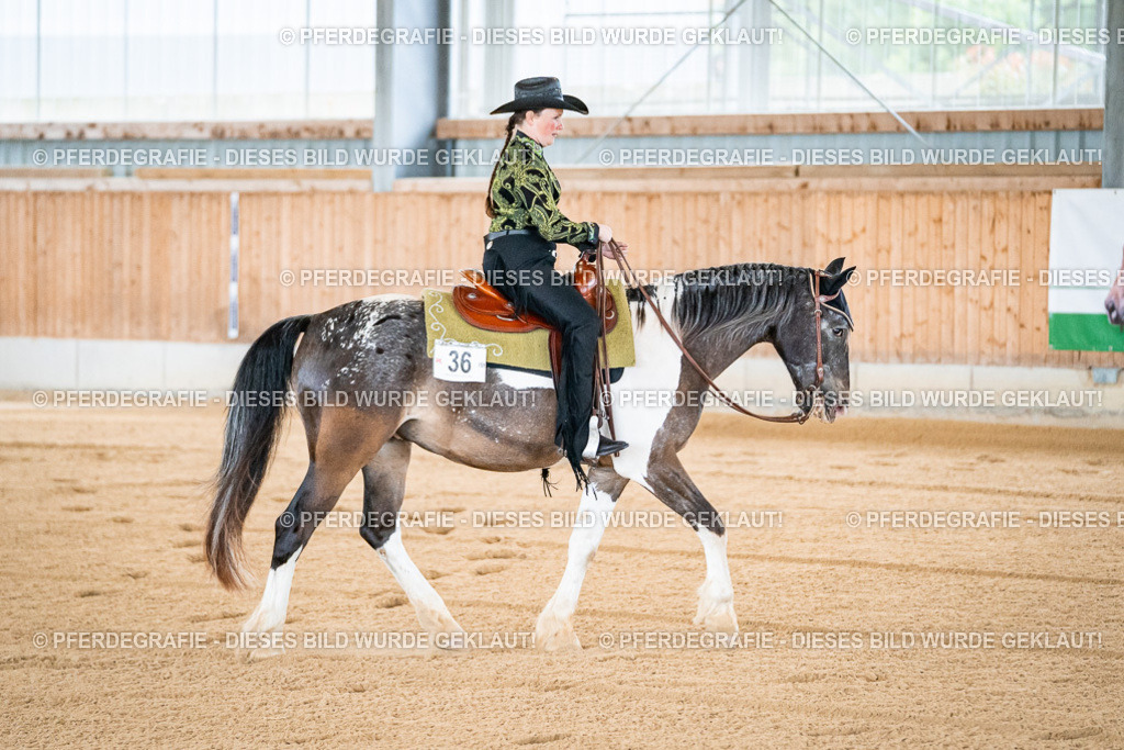 DSC01278 | Pferdegrafie