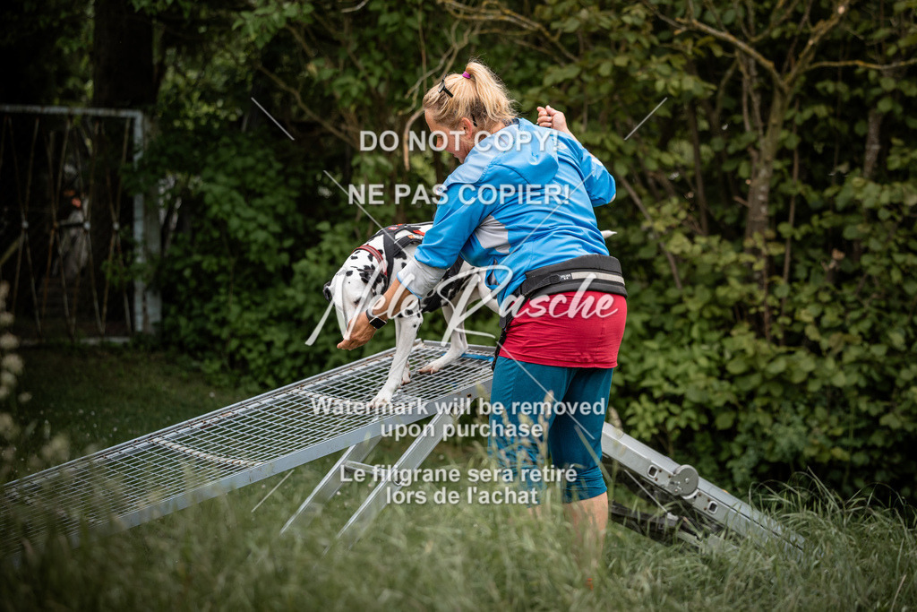 nelerasche_So-funtrail_81 | nelerasche