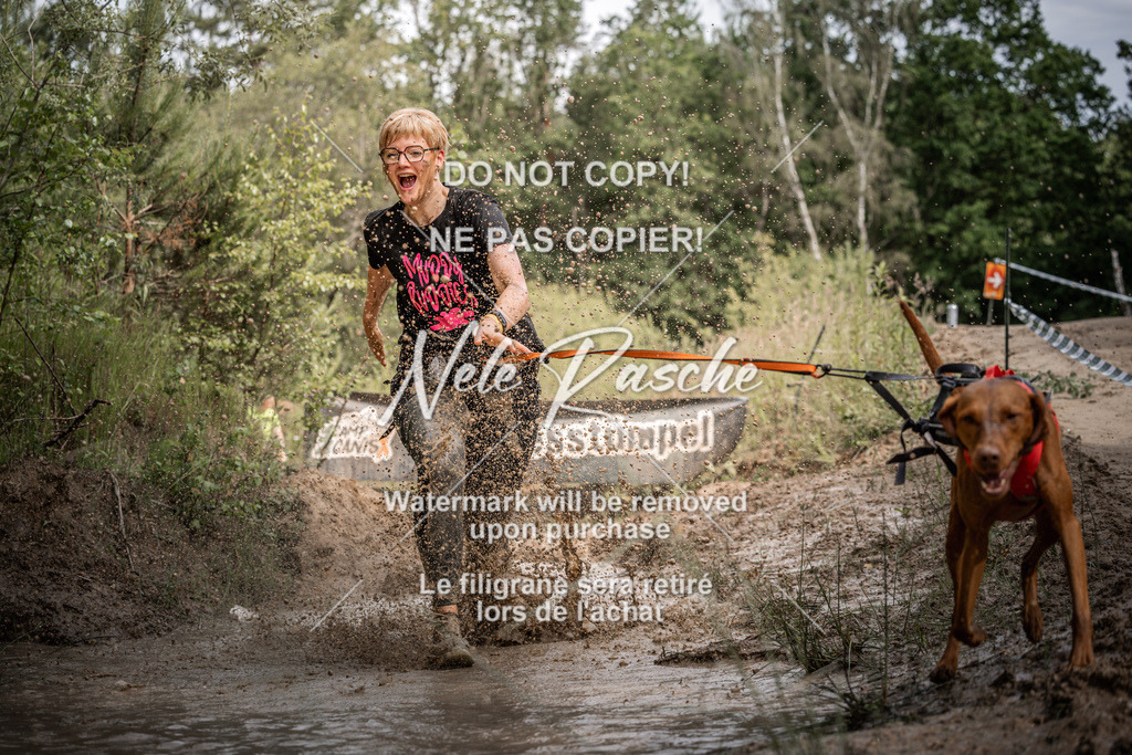 nelerasche_Hoope2026_Sa10-1030_238 | nelerasche