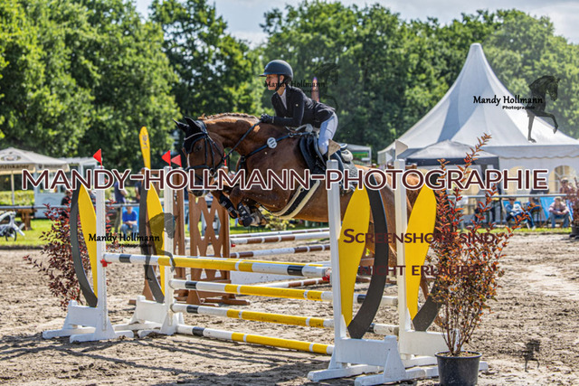  16.8  SP 26-2 SPR A+ (90 von 422) | mandyhollmannphotographie