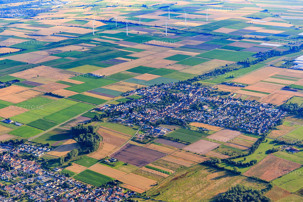 Luftbild: Ortsansicht von Norden in Ottersheim bei Landau im Bundesland Rheinland-Pfalz in Deutschland. Foto: IMG_142275.jpg vom 07.07.2024 durch Werner Riehm/FLY-FOTO.de