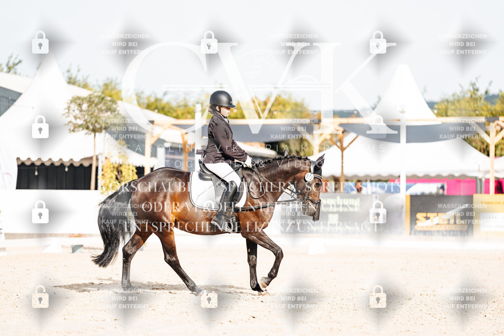 CK904536 | Turnierfotografie Pferdefotografie Trier Rheinland-Pfalz Pferdesport Reitsport Tierfotografie Sportfotografie Pferdevideo Pferdevideografie Equestrianvideography equestrianphotography  - Realisiert mit Pictrs.com