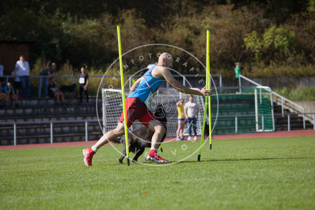 0L8A8161 | Hundefotografie, Tierfotograf, Pfotenfotografie, Fotoshooting Hund, Hunde Portrait, Hundesport, Hundeportraits, Heideshooting, Hunde, Sportfotograf, Hundefotograf, Turnierhundsport, THS,  - Realisiert mit Pictrs.com