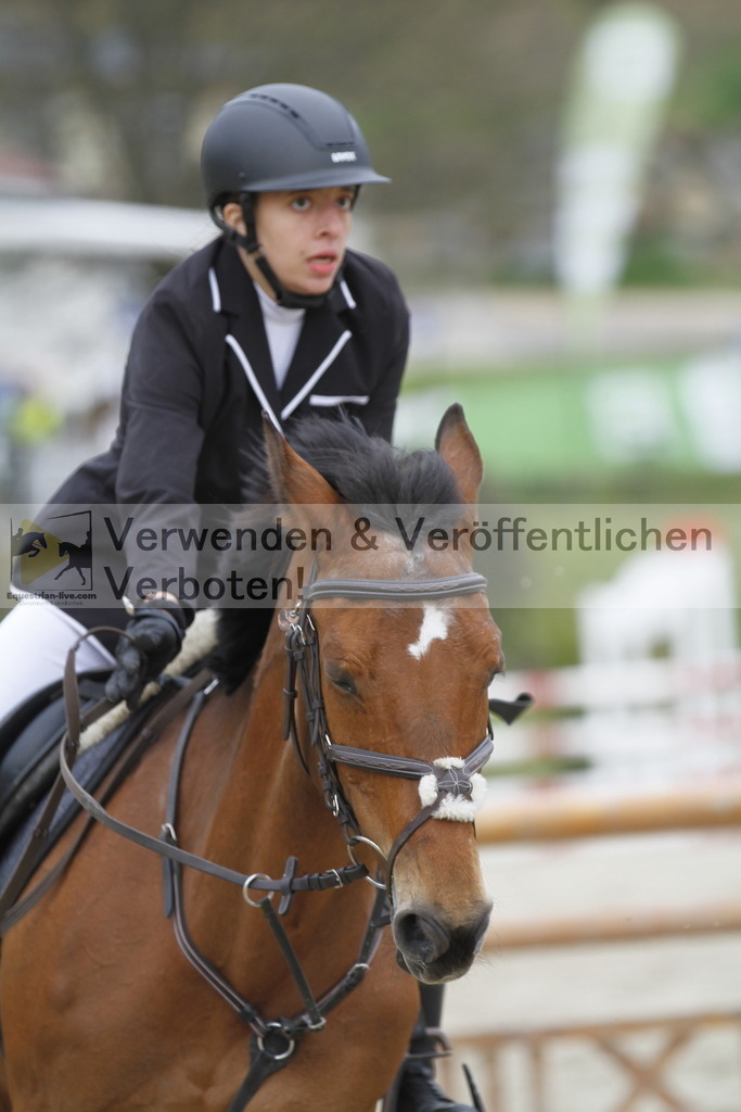 _MG_1047 | equestrian-live-com
