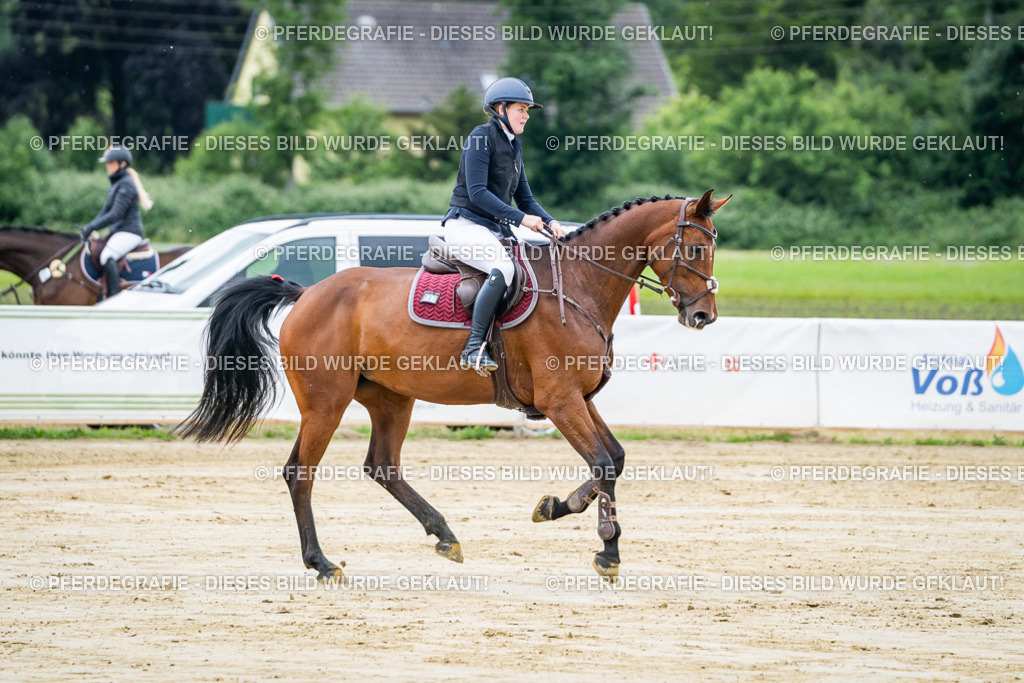 DSC04067 | Pferdegrafie