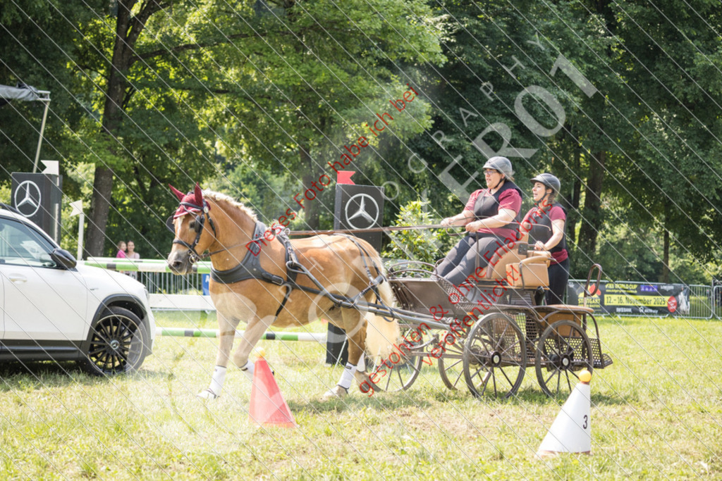 IMG_7977 | Sport-, Event- und Tierfotos in Profiqualität. Einfach auswählen, bestellen und herunterladen. Dein Moment – perfekt festgehalten.
