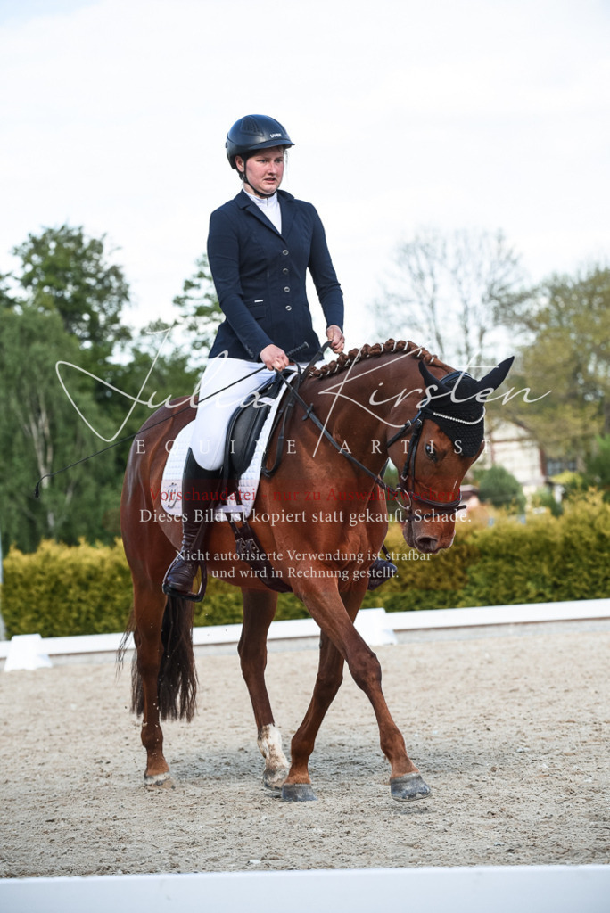 20230518_JK-Röhrsdorf-12-0846 | Pferde- und Turnierfotografie in Westsachsen. Pferdeportraits, Auftragszeichnungen und intuitive Kunst.