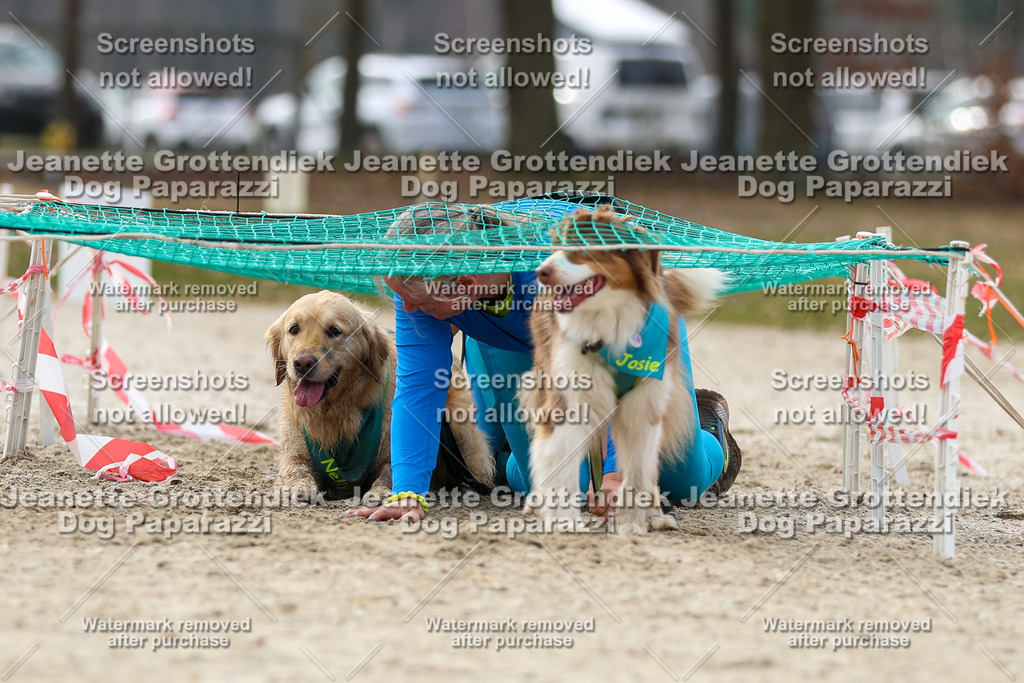 Dog Paparazzi - Strongdog North Mrz26-5718 | Dog Paparazzi Jeanette Grottendiek Fotografie & Videografie - Realisiert mit Pictrs.com