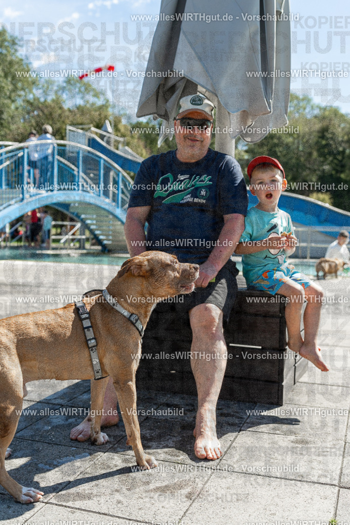 Hundeschwimmen_Volksbad_2026-allesWIRTHgut_Tierfotografie-2609061251-120145-7R500212 | Professionelle Tierfotografie in Mönchengladbach von Daniel Wirth (allesWIRTHgut). Liebevolle & natürliche Bilder von Hunden & Katzen für unvergessliche Erinnerungen.