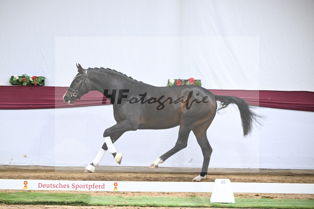 Kat-Nr. 42 So Perfect x Dancier_ZG Nahm_47251478 | hf-fotografie - Realisiert mit Pictrs.com