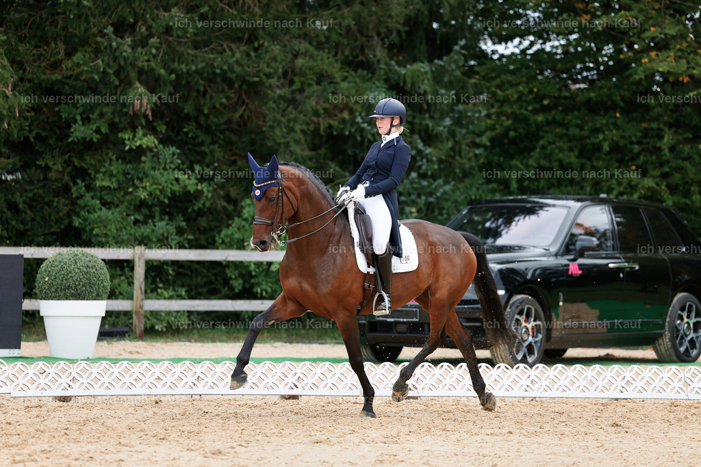 6-196-AMATUER-DRESSUR S_  -StoibPH-3512 | working equitationturnier fotograf videograf stoibphotography marixx film working equitation deutschland reitsport turnierfotografie eventfotografie equestrian events