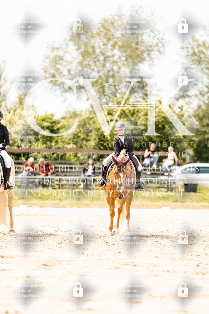 CK902620 | Turnierfotografie Pferdefotografie Trier Rheinland-Pfalz Pferdesport Reitsport Tierfotografie Sportfotografie Pferdevideo Pferdevideografie Equestrianvideography equestrianphotography  - Realisiert mit Pictrs.com