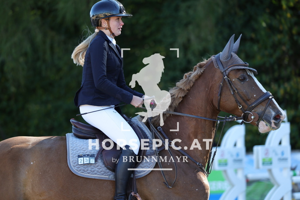 0P6A0335 | Willkommen bei Brunnmayr - Design & Fotografie – Ihrem Spezialisten für Reitturniere und Pferdeveranstaltungen in Oberösterreich, Salzburg und Bayern! Seit über 17 Jahren sind wir leidenschaftlich dabei.