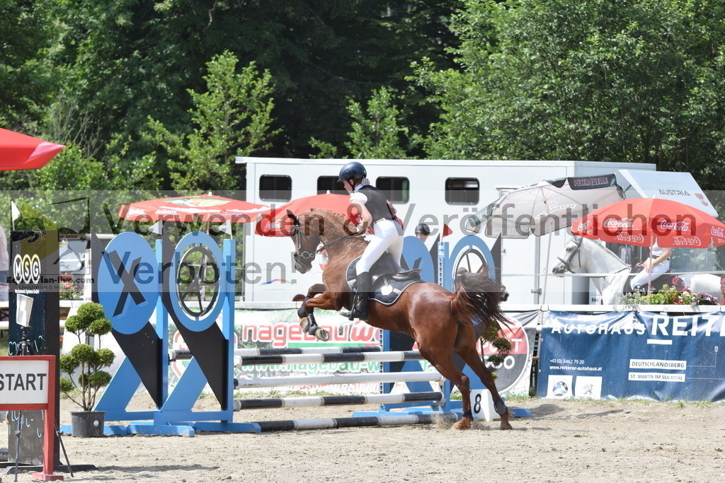 DSC_0012 | equestrian-live-com