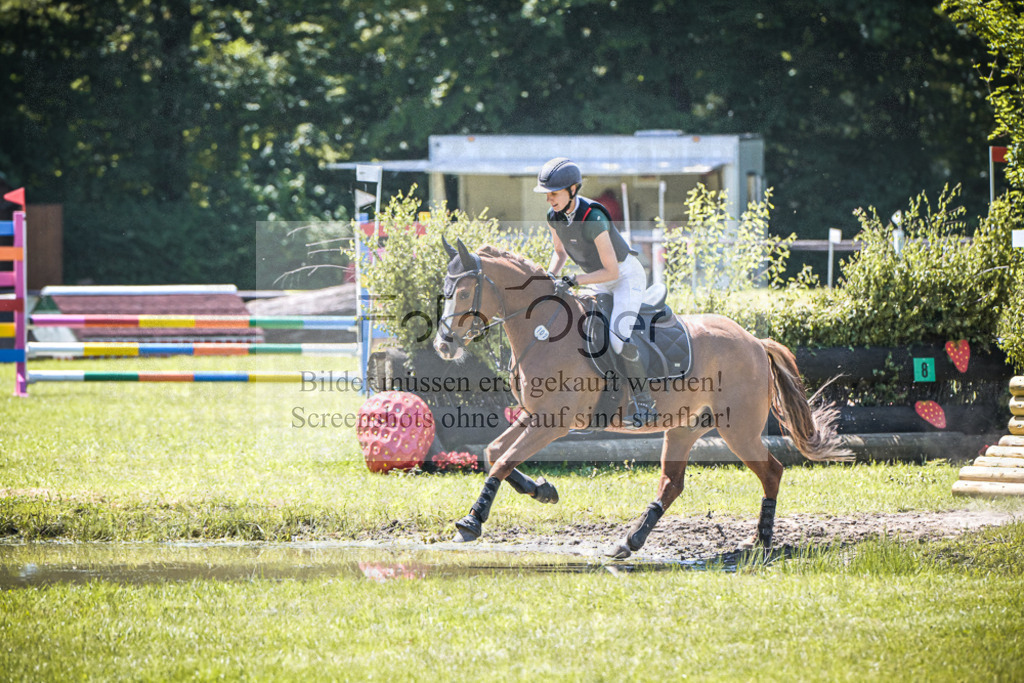 DOS_7564 | Entdecke hochwertige Reitturnierfotos von Foto Oger. Professionell, emotional und authentisch – jetzt Lieblingsmomente im Shop bestellen. - Realisiert mit Pictrs.com