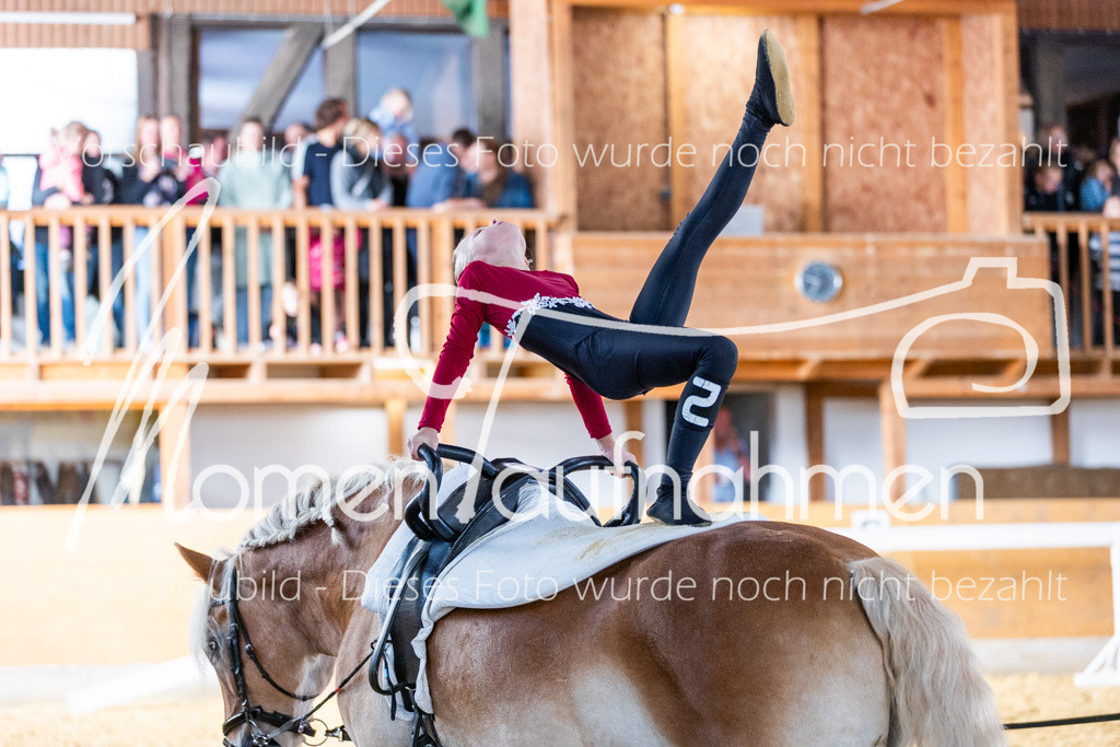 SS-Mini-100 | MomenTaufnahmen Pferdesportfotos