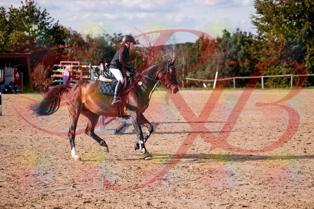2026_10_03_Siefer-Hof_155952_Z81_80252091 | Professionelle Reitsport-, Turnier- und Eventfotografie von Robert Broda. Galerien mit ausgewählten und bearbeiteten Bildern direkt online ansehen und bestellen.