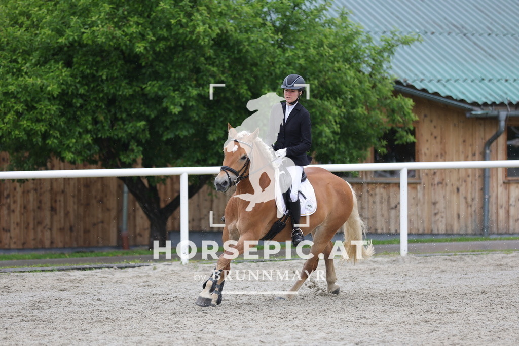 0P6A7958 | Willkommen bei Brunnmayr - Design & Fotografie – Ihrem Spezialisten für Reitturniere und Pferdeveranstaltungen in Oberösterreich, Salzburg und Bayern! Seit über 17 Jahren sind wir leidenschaftlich dabei.
