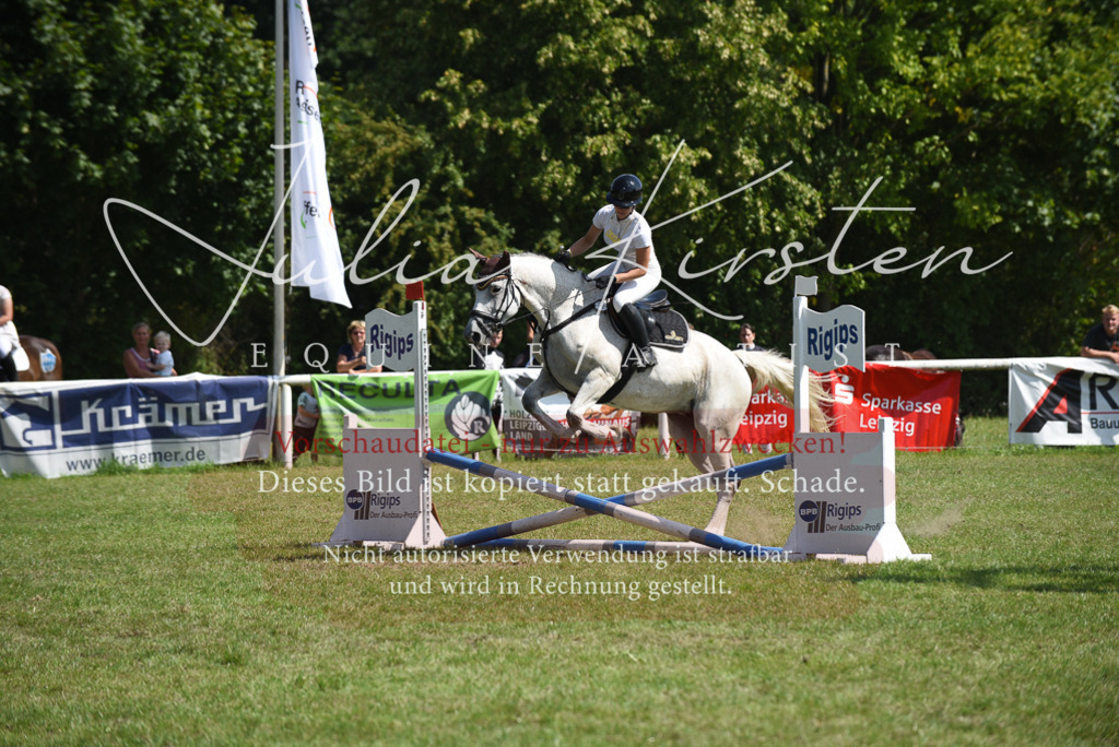 DSC_0180 | Pferde- und Turnierfotografie in Westsachsen. Pferdeportraits, Auftragszeichnungen und intuitive Kunst.