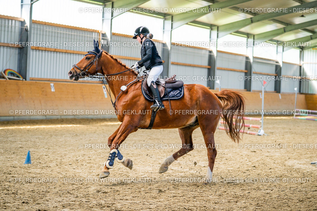 DSC01318 | Pferdegrafie