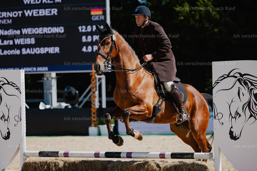 Gernot25_FHC2025-27001 | working equitationturnier fotograf videograf stoibphotography marixx film working equitation deutschland reitsport turnierfotografie eventfotografie equestrian events