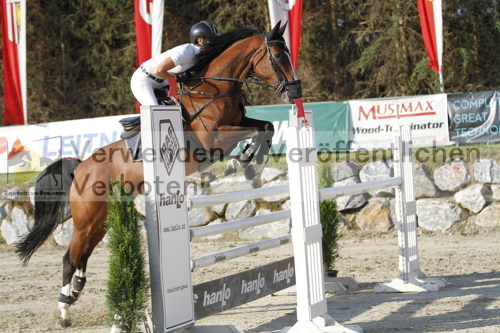 _MG_6328 | equestrian-live-com