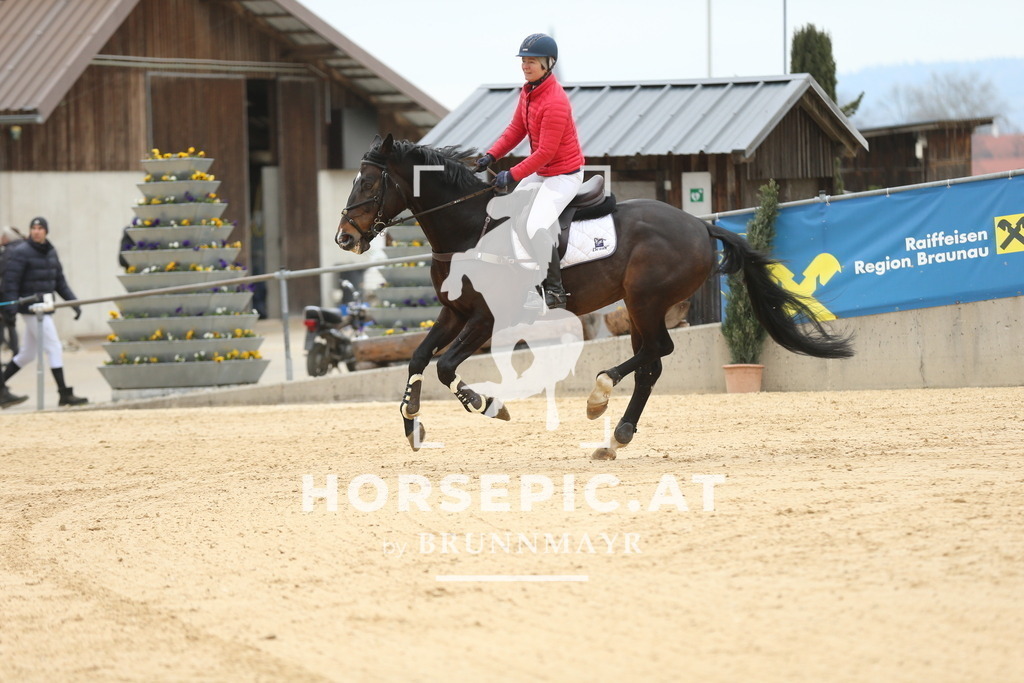 DL2Q5697 | Willkommen bei Brunnmayr - Design & Fotografie – Ihrem Spezialisten für Reitturniere und Pferdeveranstaltungen in Oberösterreich, Salzburg und Bayern! Seit über 17 Jahren sind wir leidenschaftlich dabei.