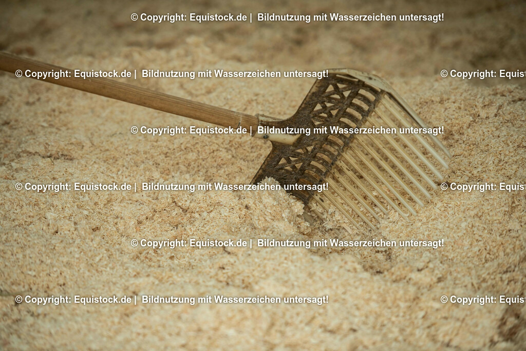 20190409_Einstreu_in_Pferdebox_0008 | Foto: Thomas Hartig