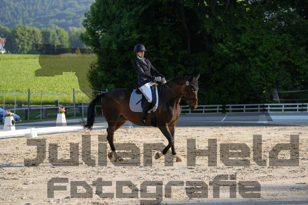 DSC02616 | Julian Held Fotografie - Realisiert mit Pictrs.com