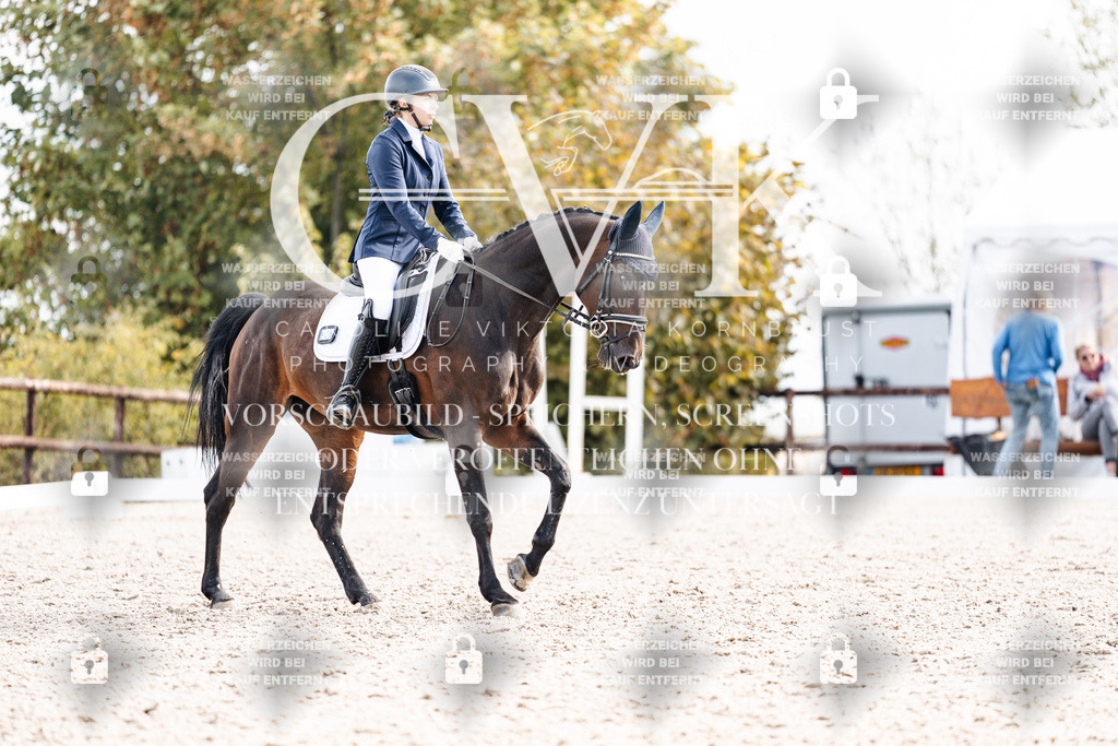 CK901488 | Turnierfotografie Pferdefotografie Trier Rheinland-Pfalz Pferdesport Reitsport Tierfotografie Sportfotografie Pferdevideo Pferdevideografie Equestrianvideography equestrianphotography  - Realisiert mit Pictrs.com