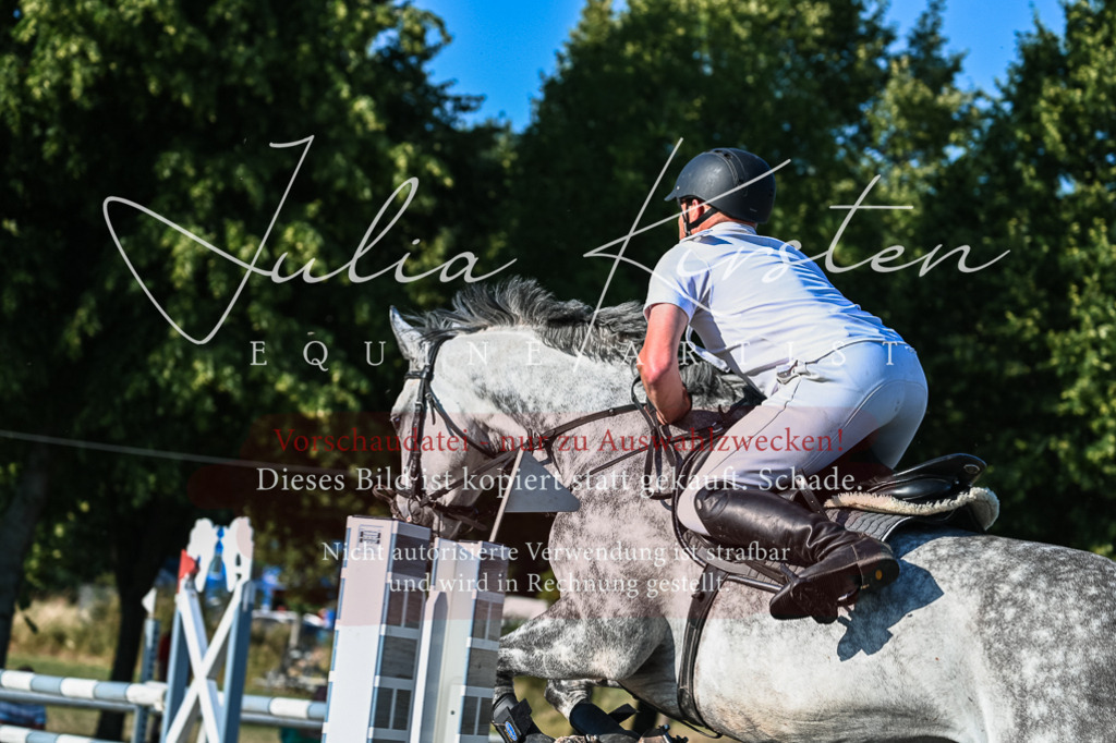 DSC_3042 | Pferde- und Turnierfotografie in Westsachsen. Pferdeportraits, Auftragszeichnungen und intuitive Kunst.