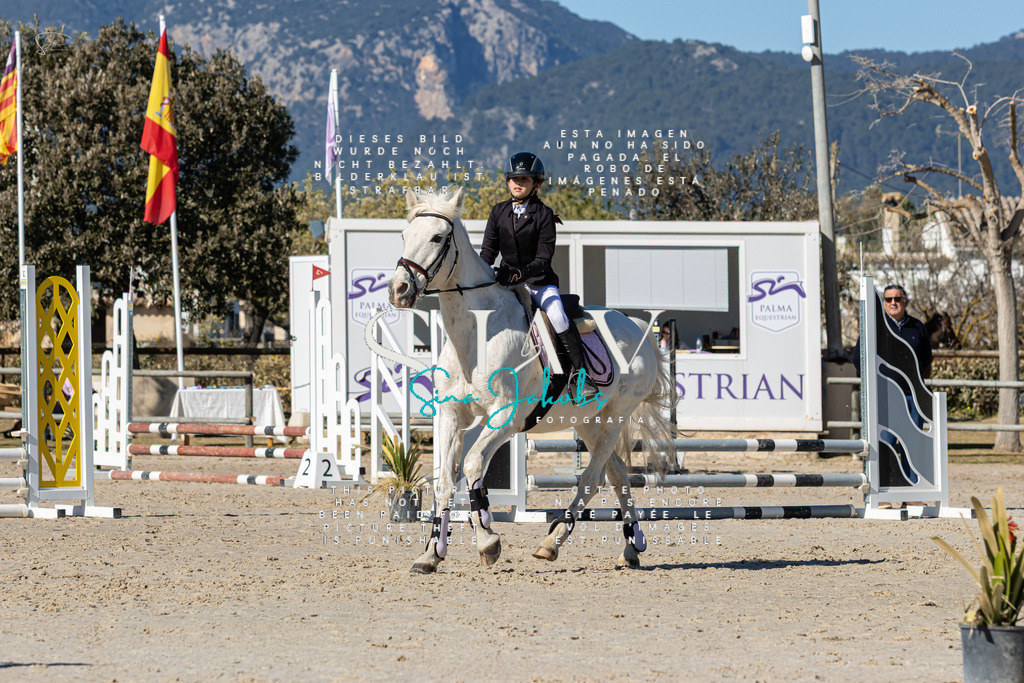 IMG_8658 | s-jay-photography - Realisiert mit Pictrs.com