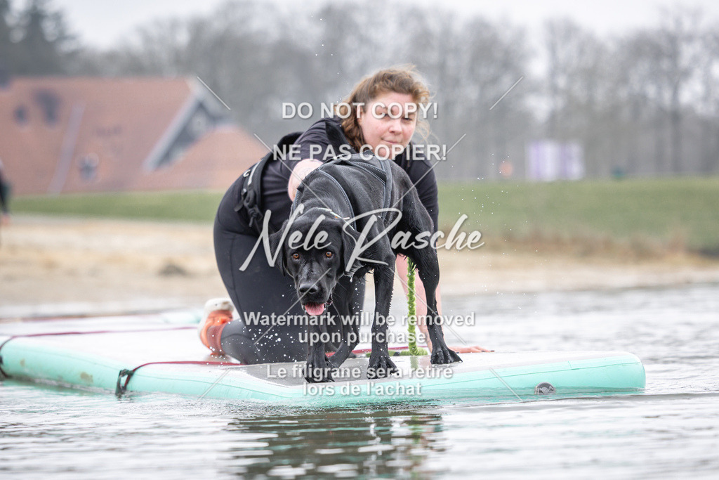 nelerasche_Hulsbeek_Sa1100-1130_318 | nelerasche