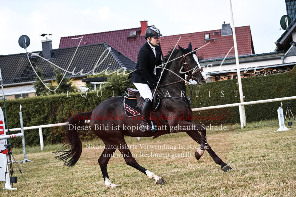 DSC_7663 | Pferde- und Turnierfotografie in Westsachsen. Pferdeportraits, Auftragszeichnungen und intuitive Kunst.