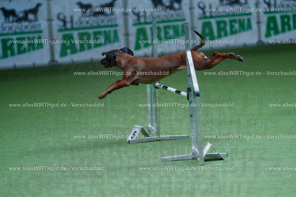 @allesWIRTHgut_Tierfotografie - www.allesWIRTHgut.de - 2604251236-7R502201 | Professionelle Tierfotografie in Mönchengladbach von Daniel Wirth (allesWIRTHgut). Liebevolle & natürliche Bilder von Hunden & Katzen für unvergessliche Erinnerungen.