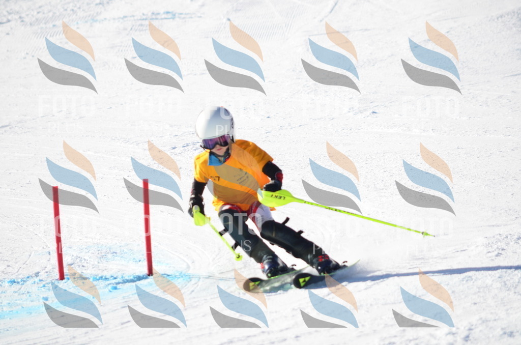 C6145 | holidayphoto