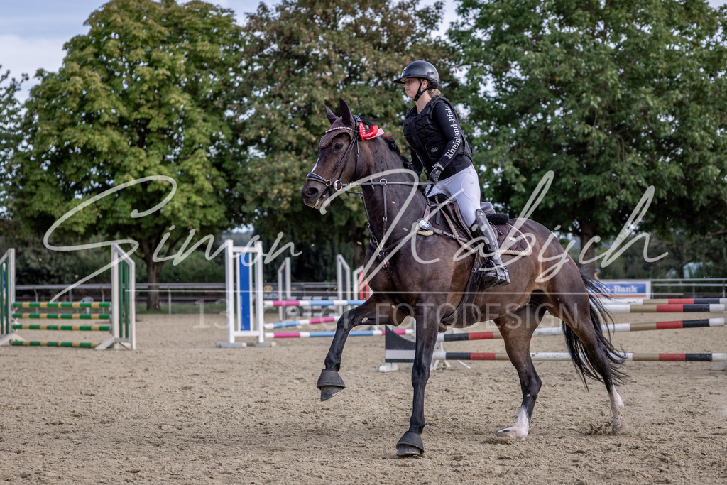 20260906-_3LI6653 | Tierfotografie Pferde, Hunde, Katzen, Haustiere.
Turnierfotografie Reitturniere, Reiten, Springreiten, Dressur in Hanau, dem Main-Kinzig-Kreis und dem Rhein-Main- Gebiet um Frankfurt