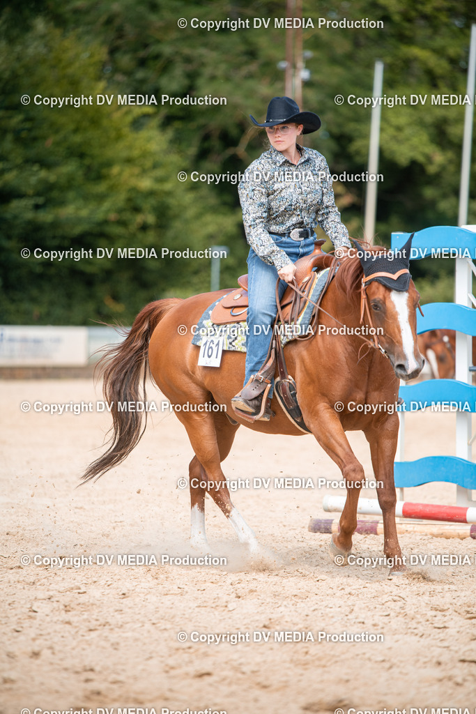 EWP_6744 | dv-media-shop - Realisiert mit Pictrs.com